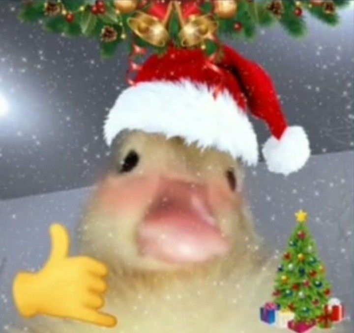 aesthetic christmas pfp 0067