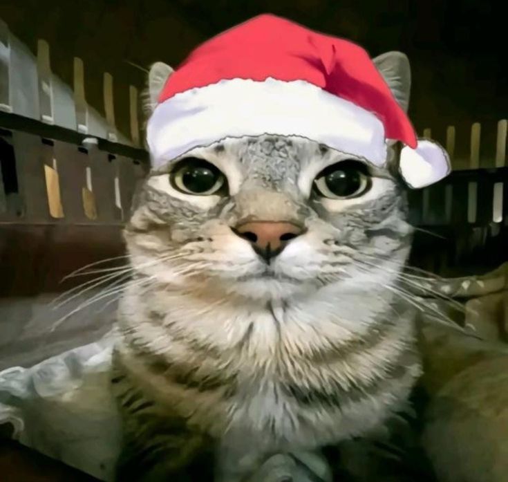 aesthetic christmas pfp 0085