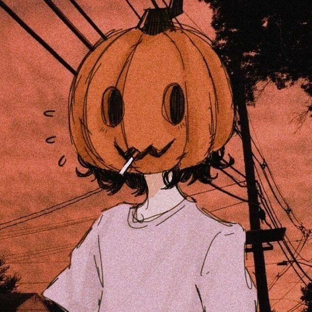 aesthetic sanrio pfp 0075