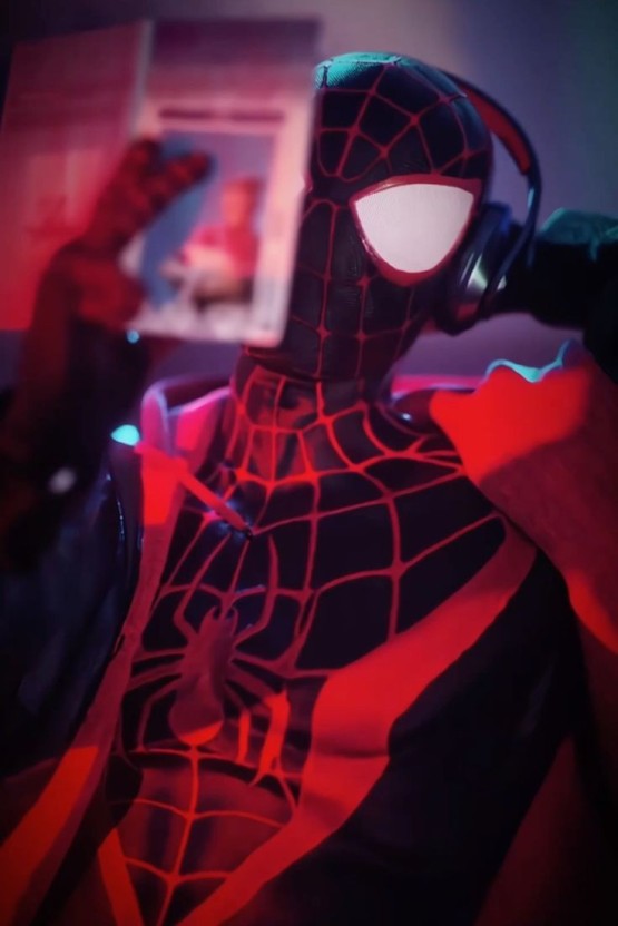 artistic miles morales pfp themes