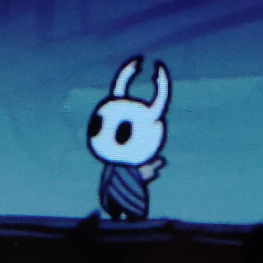 best hollow knight pfp ideas