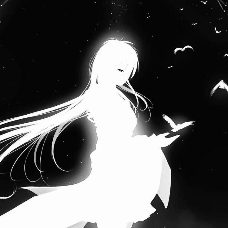 black and white anime pfp 0028