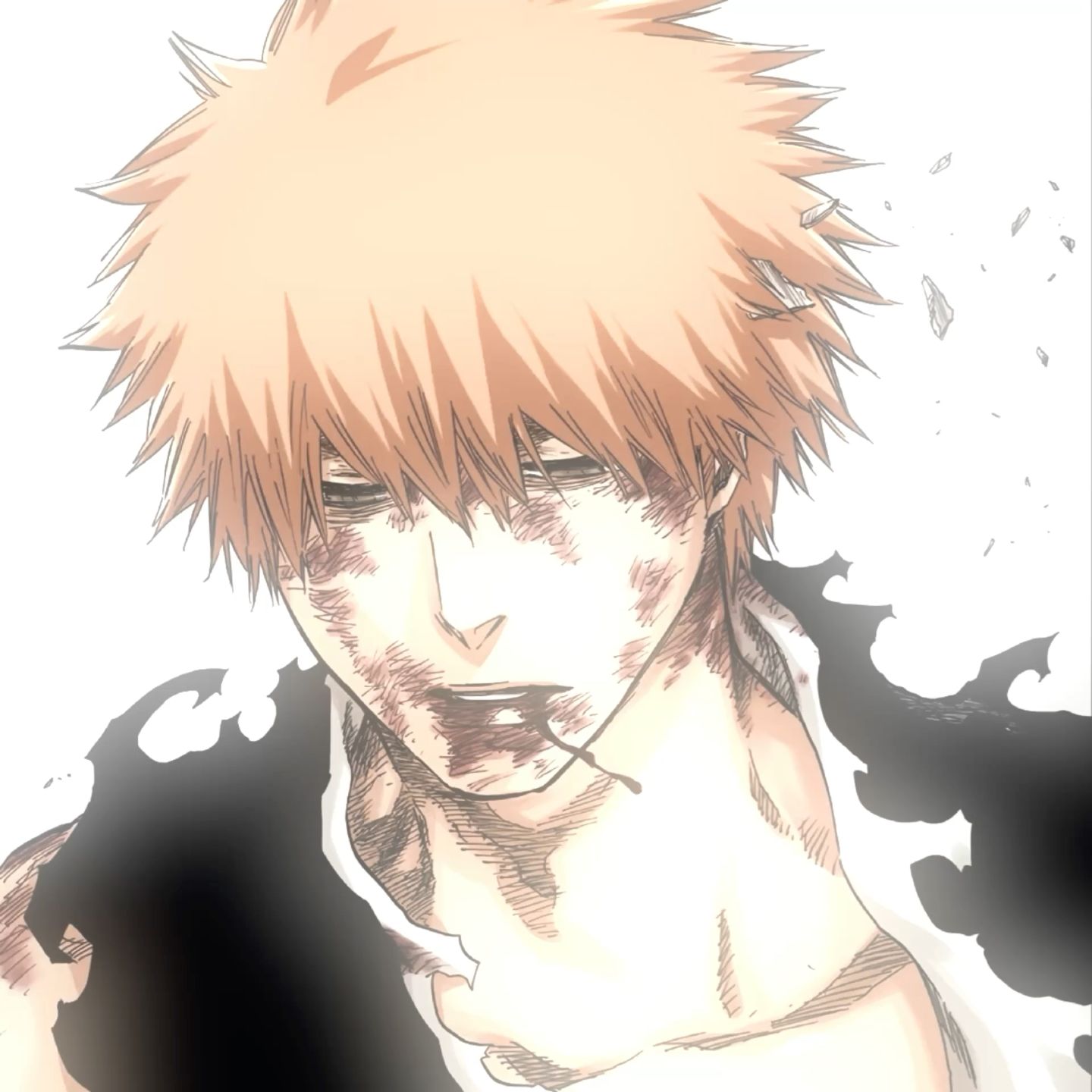 bleach pfp 0043