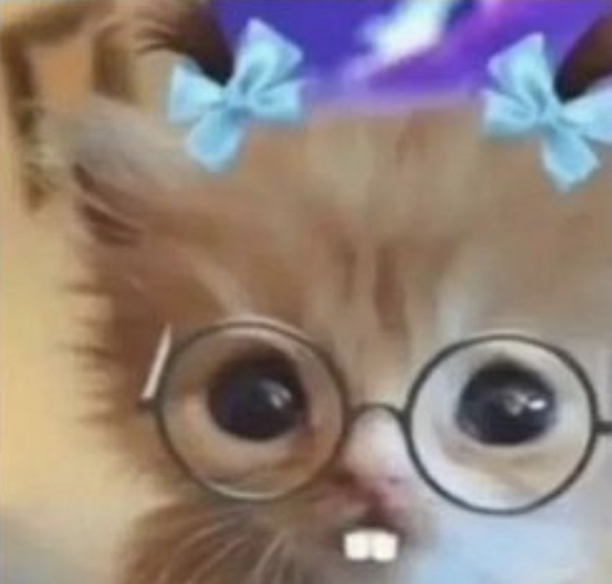 cat with glasses pfp 0042