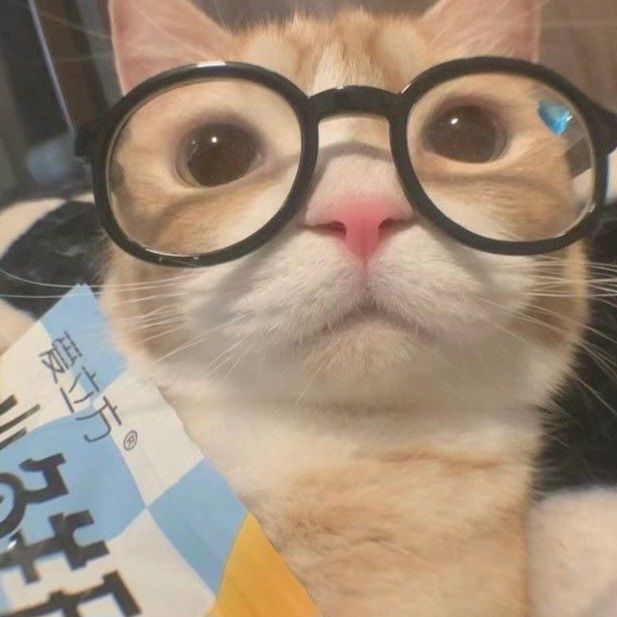 cat with glasses pfp 0046