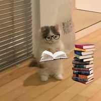 cat with glasses pfp 0062