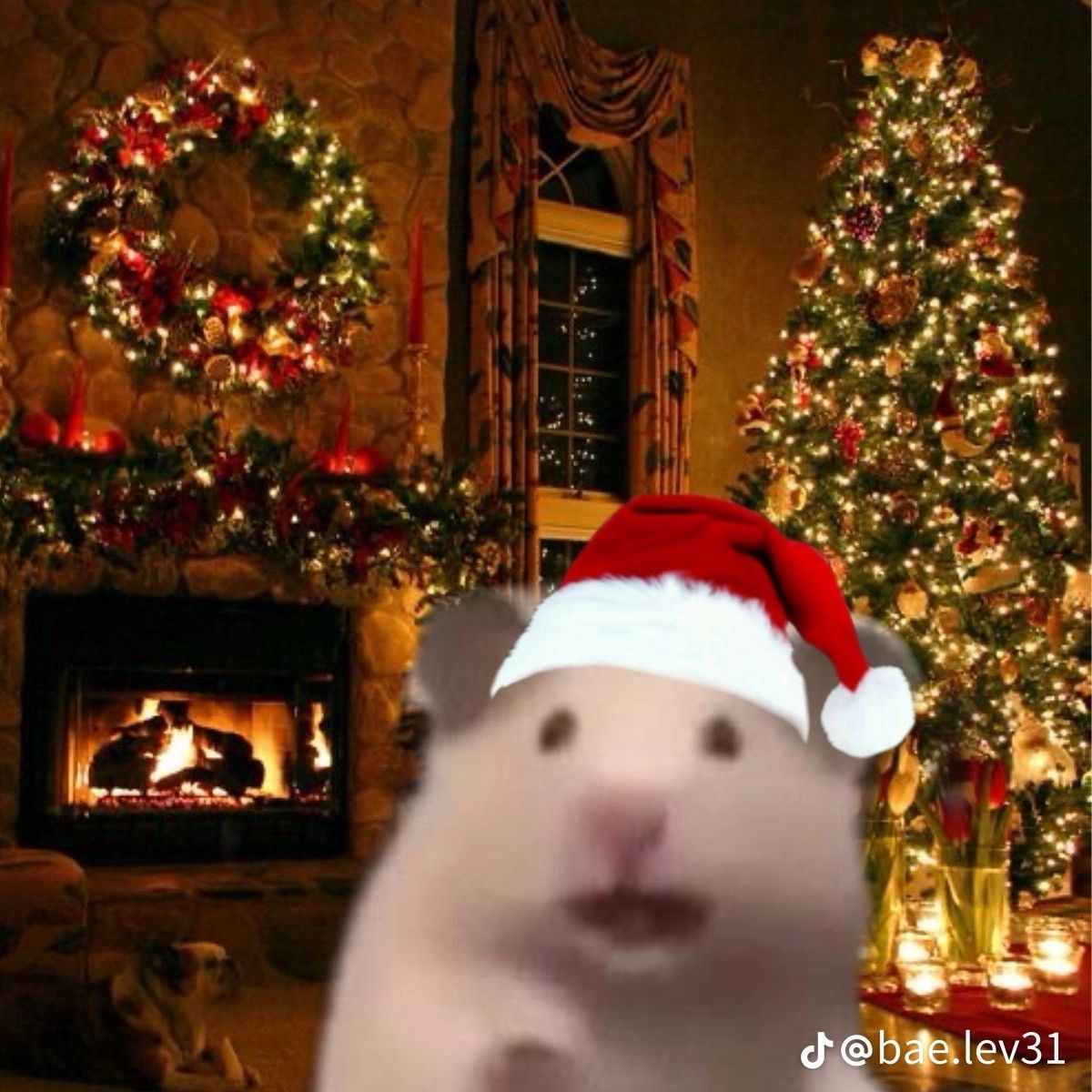 christmas discord pfp 0024