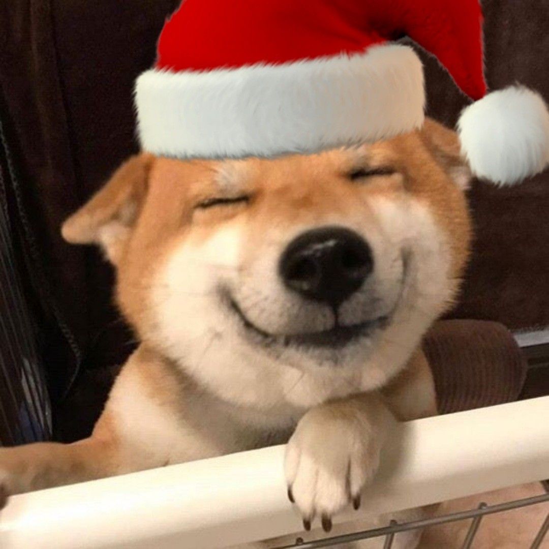 christmas discord pfp 0038