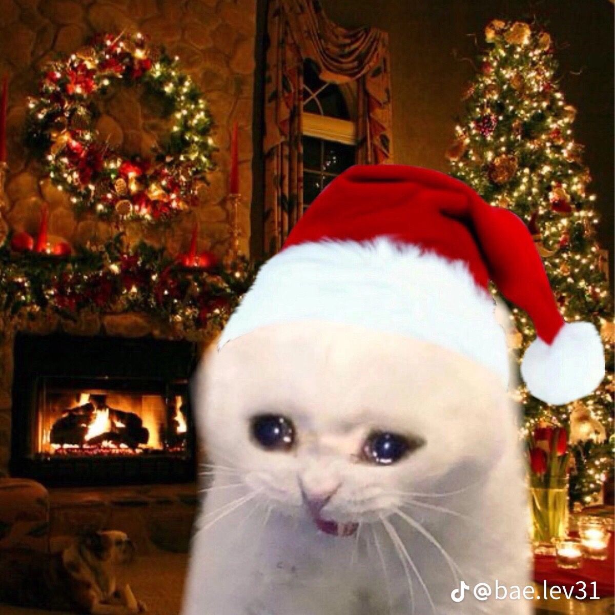 christmas discord pfp 0048