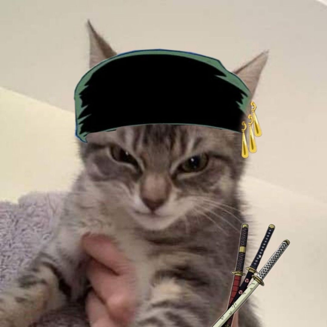 cool zoro pfp