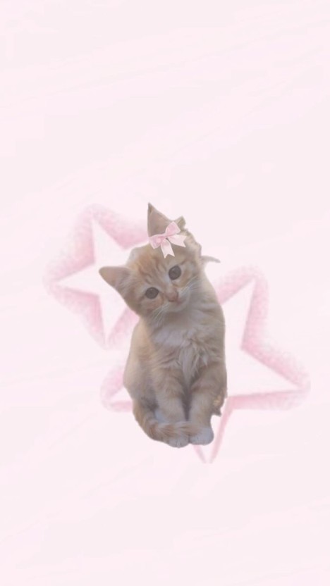 cute cat pfp 0085