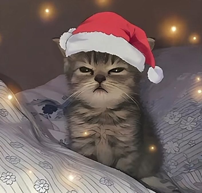 cute christmas pfp 0033