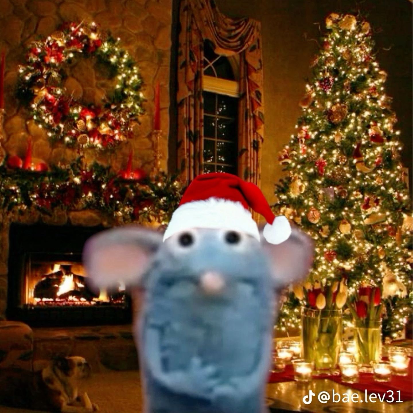 cute christmas pfp 0041