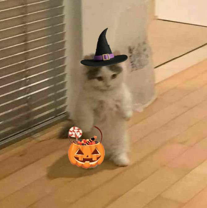 cute halloween pfp 0020