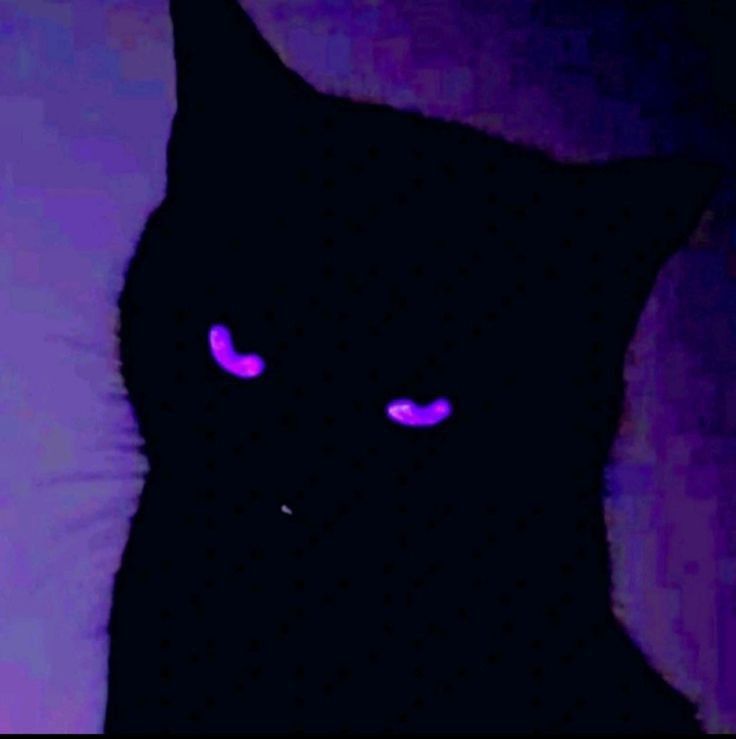 dark purple anime pfp 0072