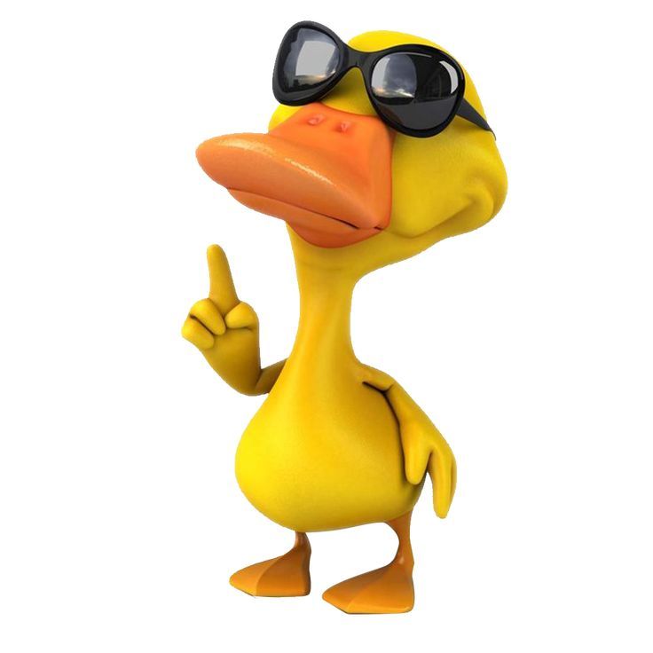 duck pfp 0087