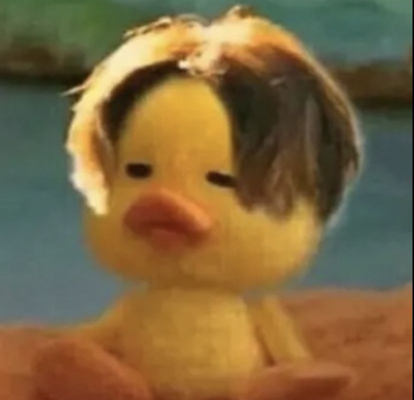 duck pfp 0097