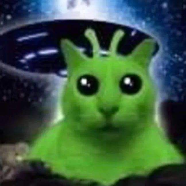 funny cat pfp for Discord