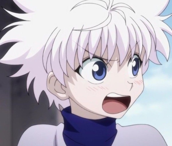 funny hunter x hunter pfp.