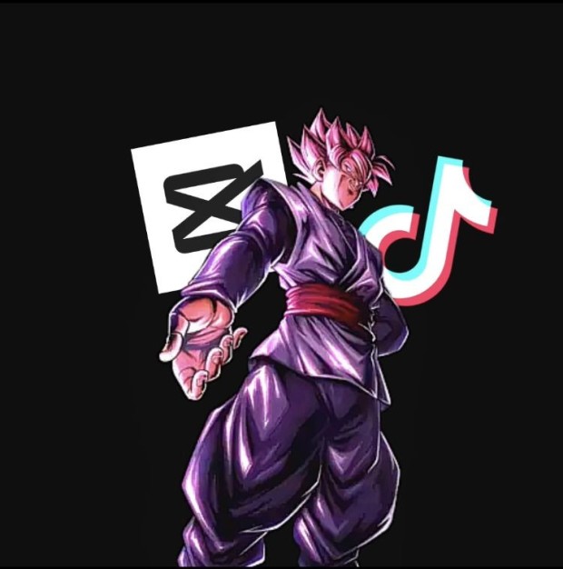 goku black pfp 0026