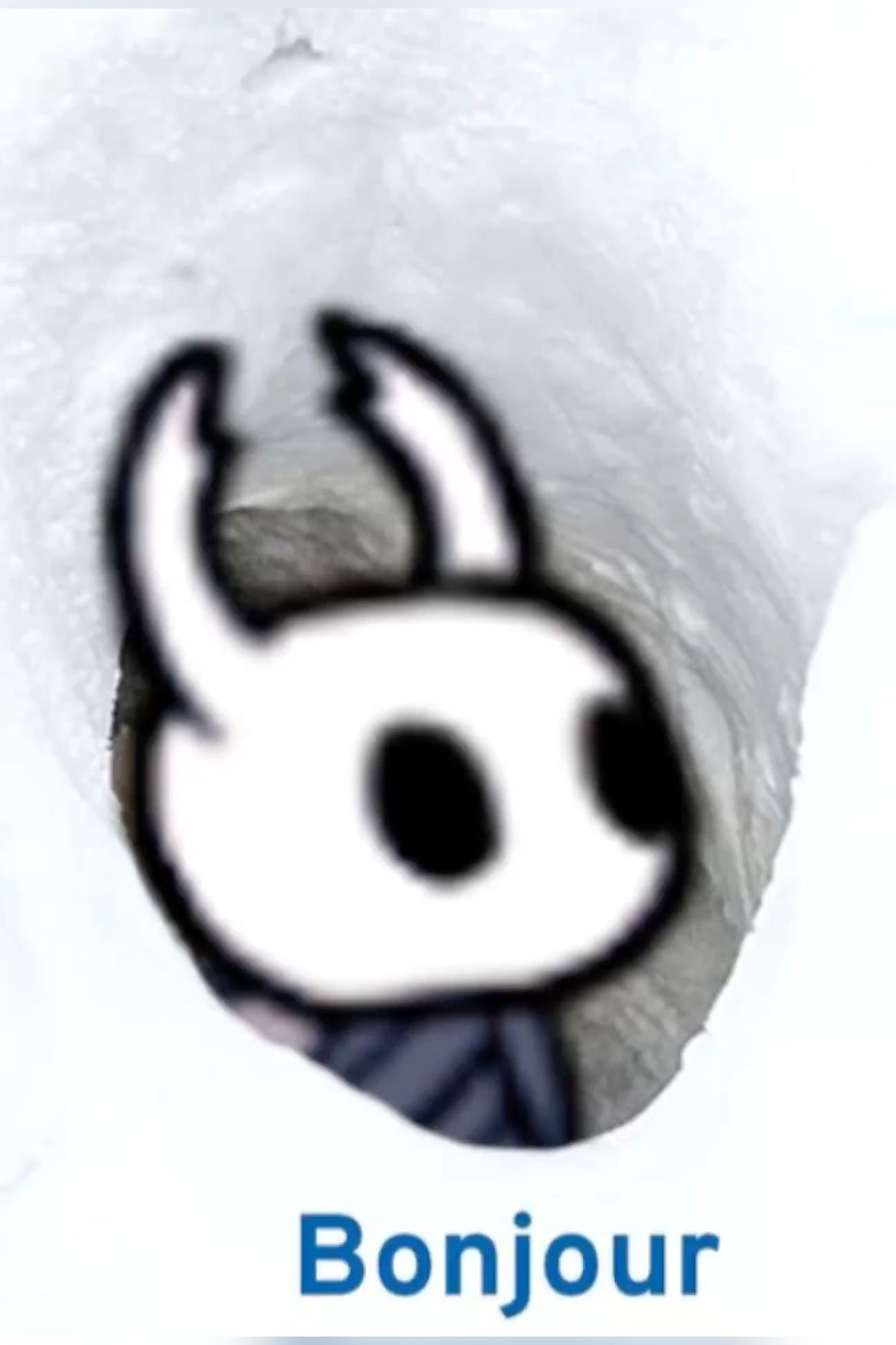 hollow knight pfp 0021