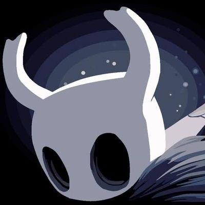 hollow knight pfp 0029