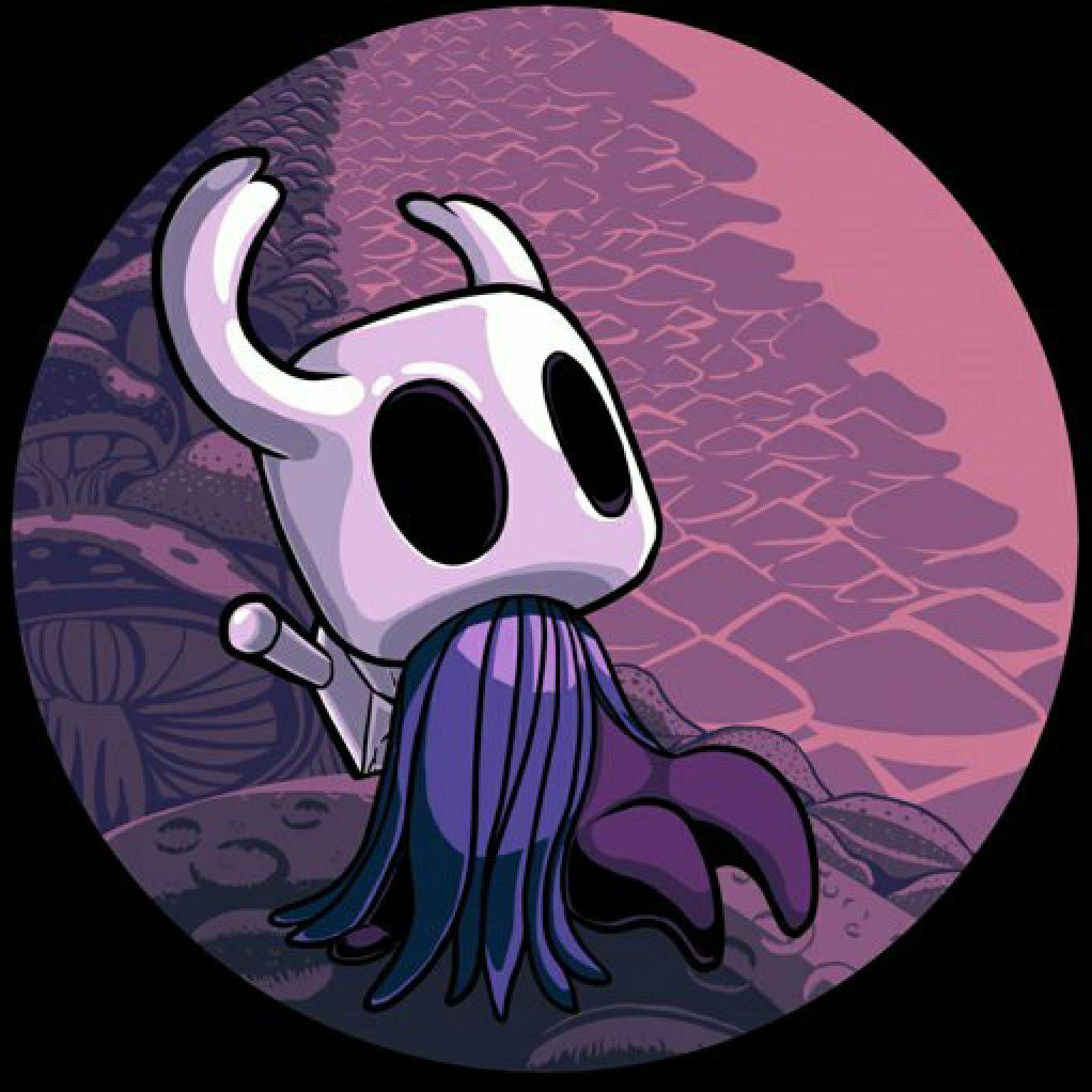 hollow knight pfp 0030