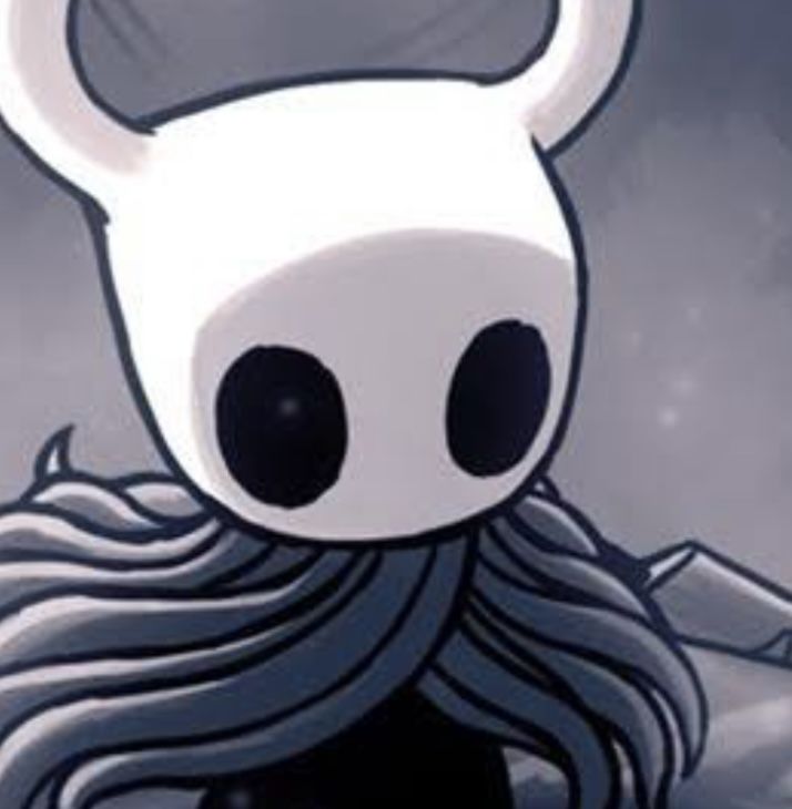 hollow knight pfp 0035