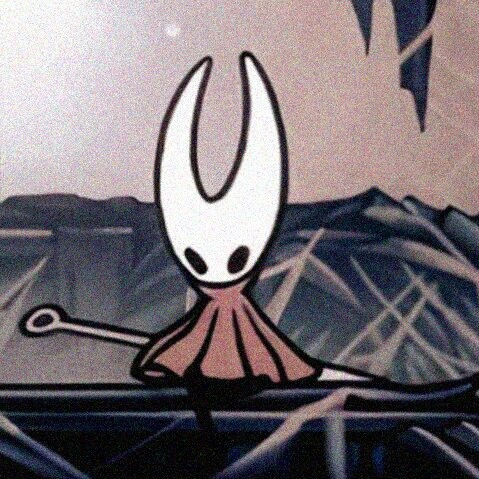 hollow knight pfp 0057