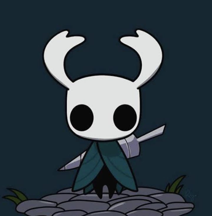 hollow knight pfp 0085