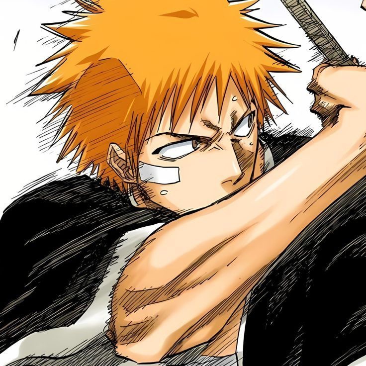 ichigo pfp 0044