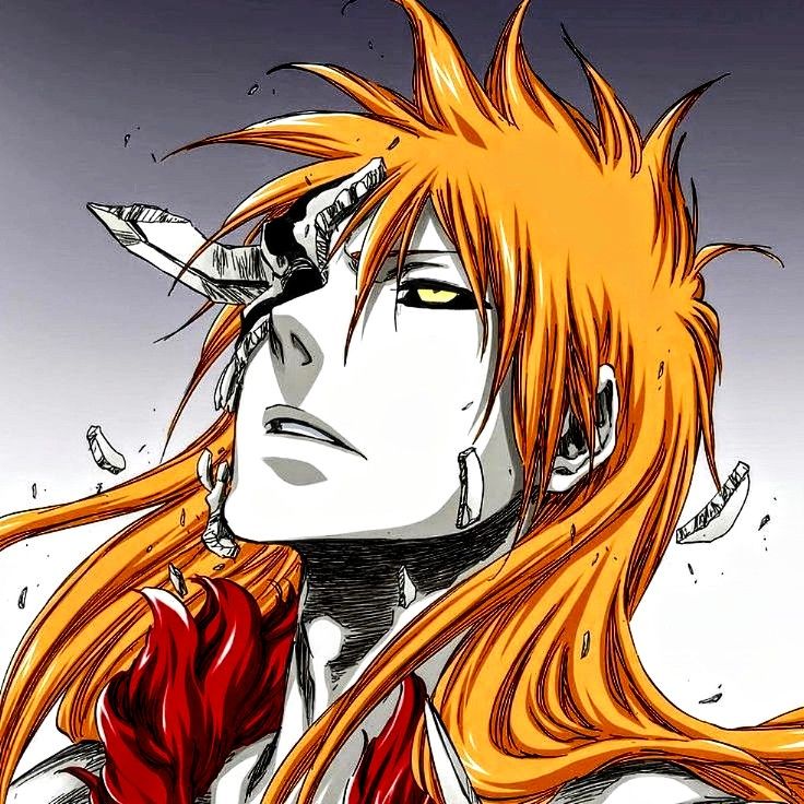 ichigo pfp 0045