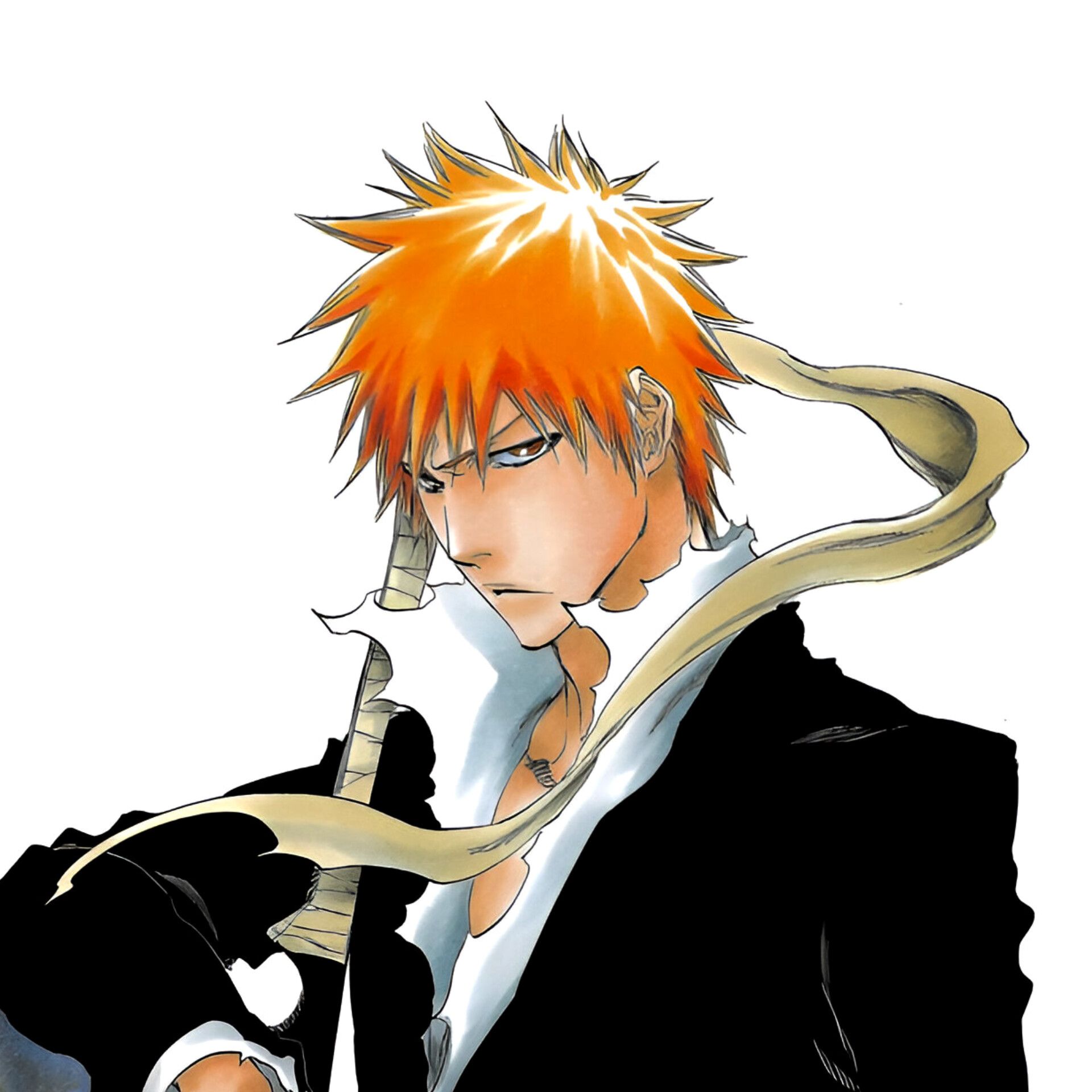 ichigo pfp 0046