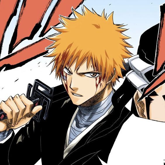 ichigo pfp 0062