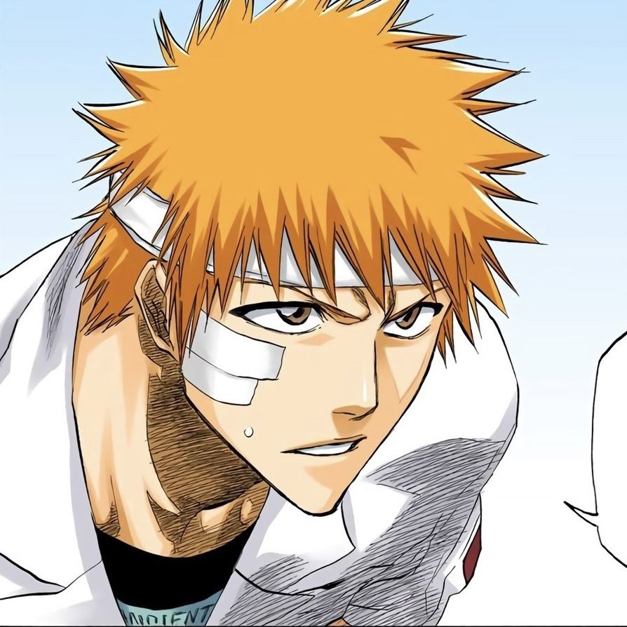 ichigo pfp 0095