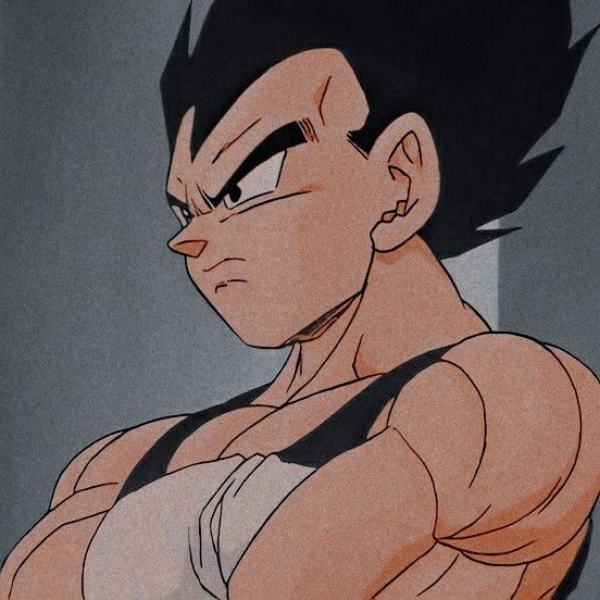 impressive vegeta pfp for Discord