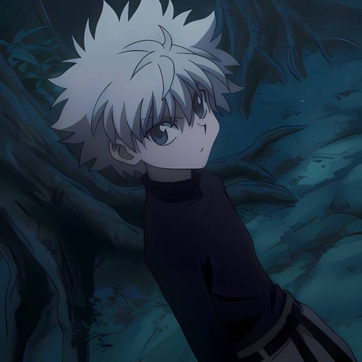 killua pfp 0037