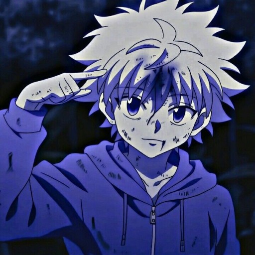 killua pfp 0046