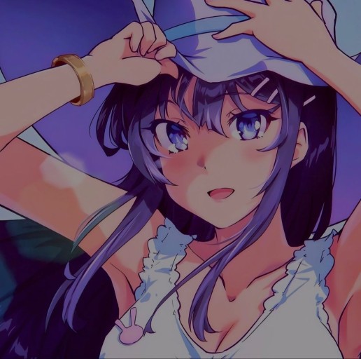 mai sakurajima pfp collection