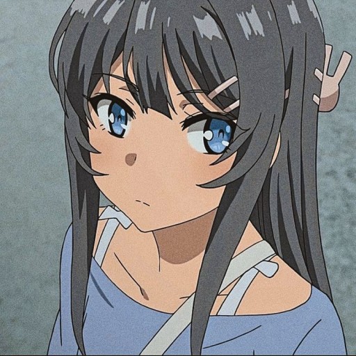 mai sakurajima pfp 0049