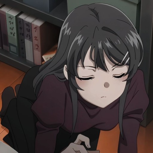 mai sakurajima pfp 0063