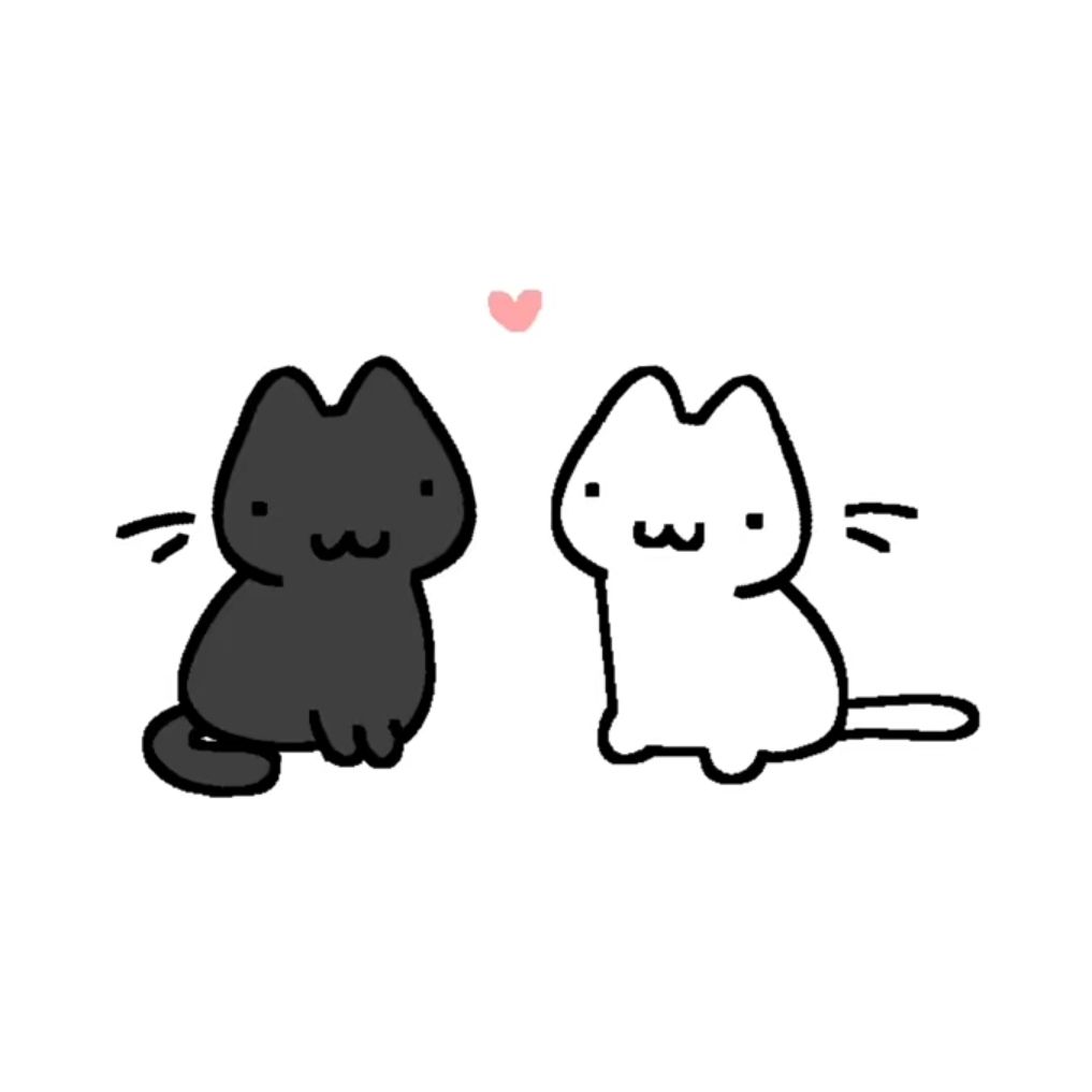 matching cat pfp 0065