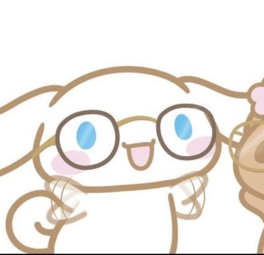 matching cinnamoroll pfp and banners