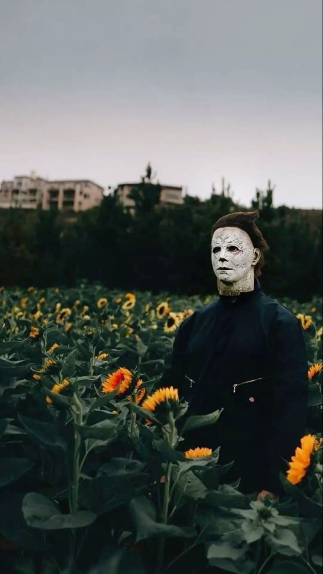 michael myers pfp 0093