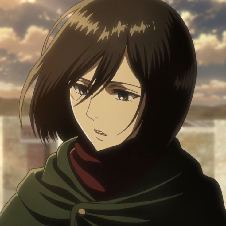 mikasa ackerman pfp for social media