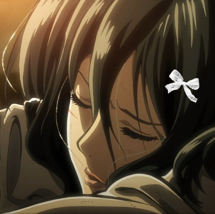 mikasa ackerman pfp wallpapers