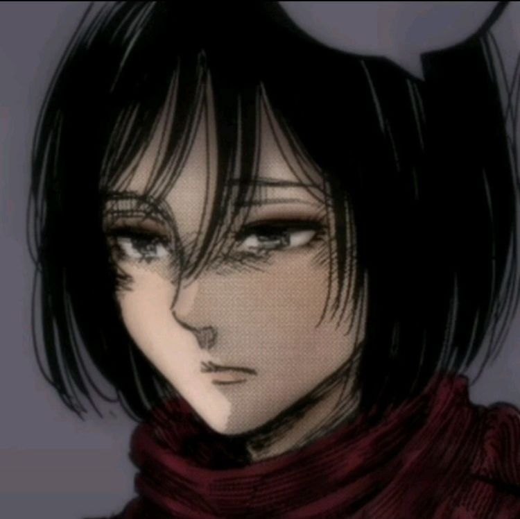 mikasa ackerman pfp 0020