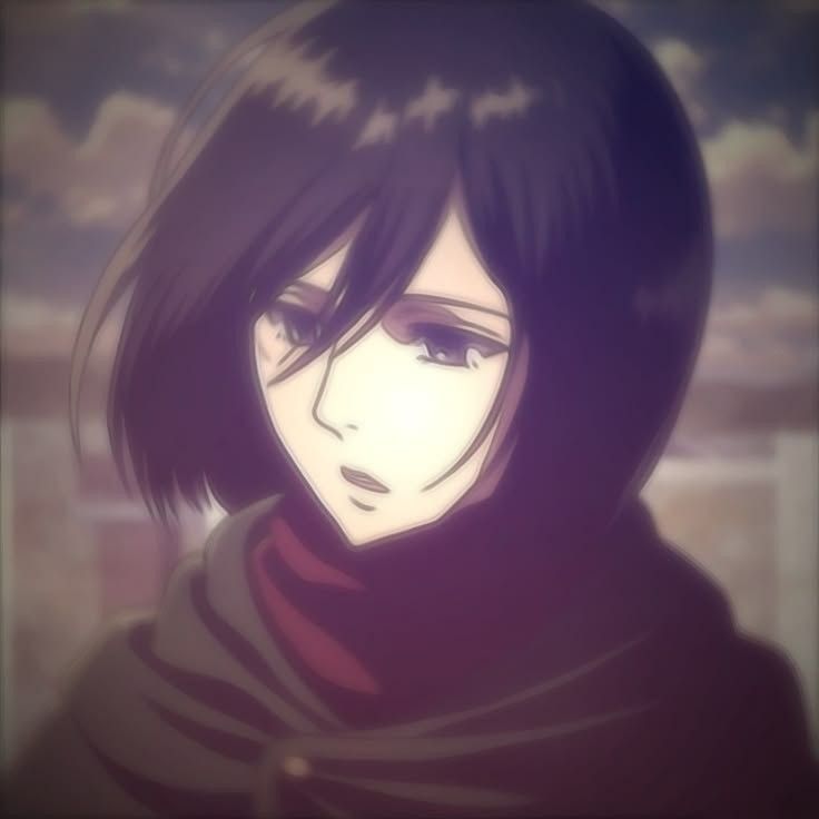 mikasa ackerman pfp 0023