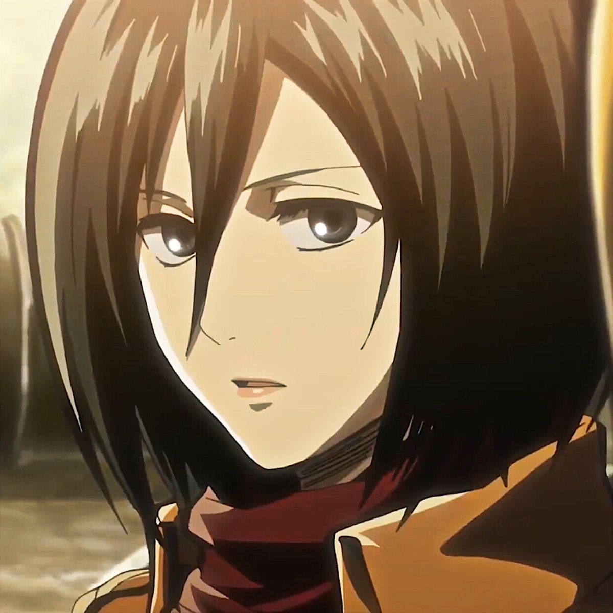 mikasa ackerman pfp 0028