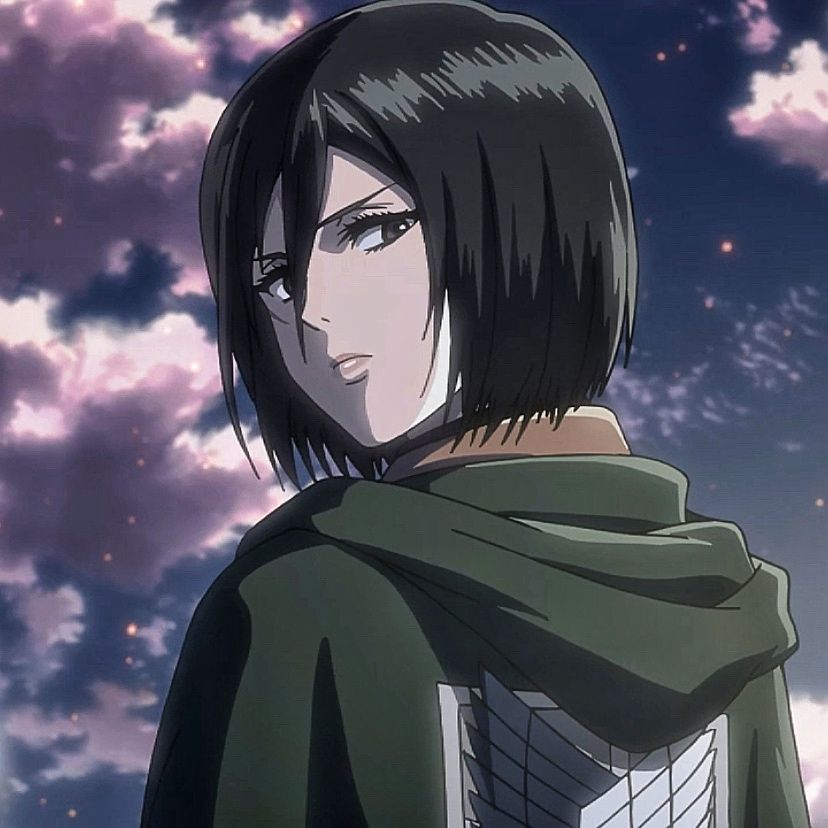 mikasa ackerman pfp 0030